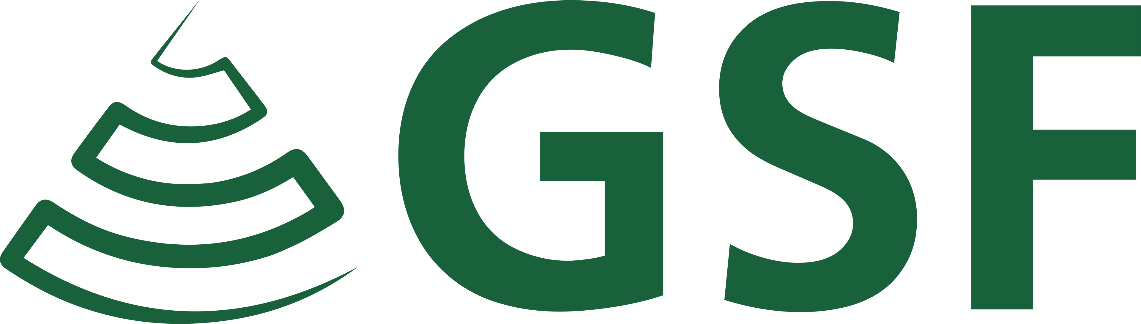 GSF
